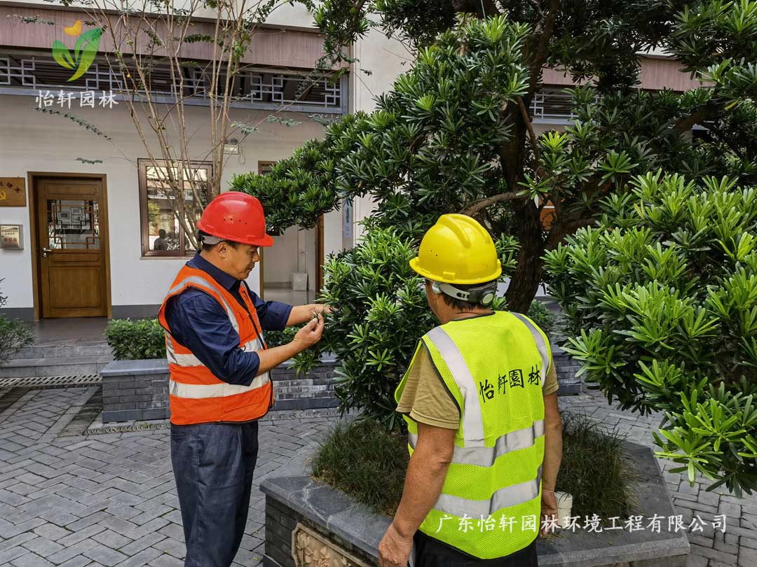 SG勝游園林綠化公司廠區綠化養護指導工作